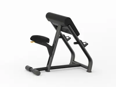 Technogym Pure Scott Bench 3D model