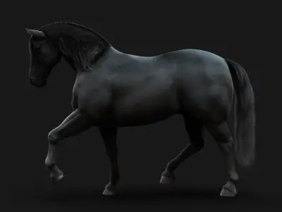 Horse Black RIG  XGEN 3D model