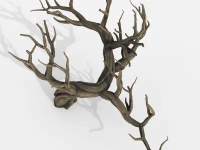 Aquarium Snag V32 3D model