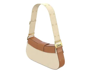 Dior Street Chic Bag Brown Beige Fabric 3D model