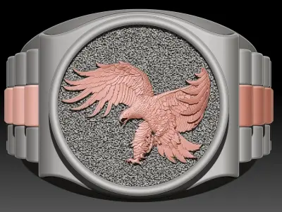 Eagle watch Man Ring silver gold printable jewelry 3D print model