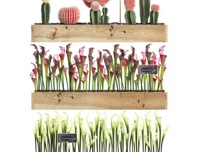 Cactus set wall decor vertical garden 44 3D model