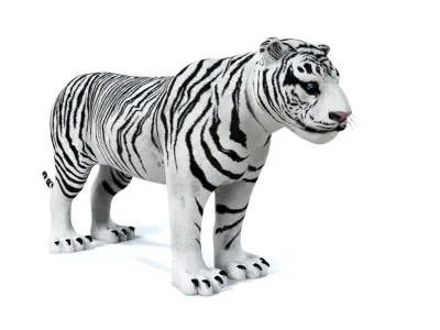 3D White Tiger 3D model