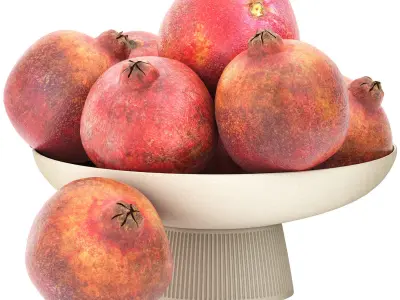 bowl of pomegranate fruit 3D model