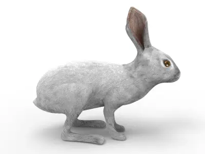 3D Rabbit low poly mode Low-poly 3D model