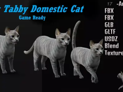 Grey Tabby Domestic Cat Low-poly 3D model