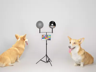 Corgi dog sitting 02 Low-poly 3D model