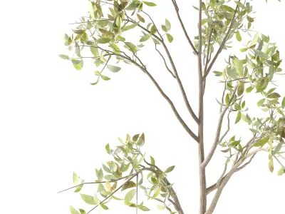 Plants Bouquet 04 3D model
