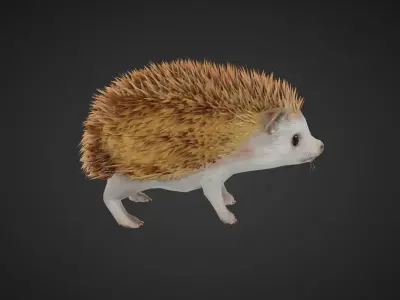 Hegdehog Stylized Yellow 3D Character Low-poly 3D model