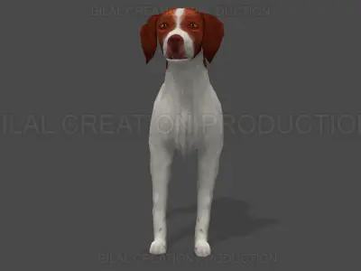 Brittany Dog Animated 3D model
