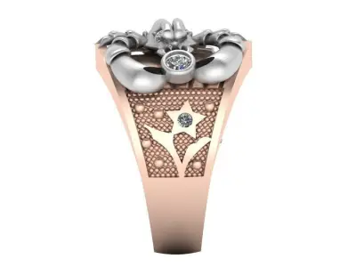 3d-model ring  3D print model