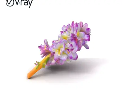 Bicolor Hyacinth Flower Gradient Petal model pack Low-poly 3D model