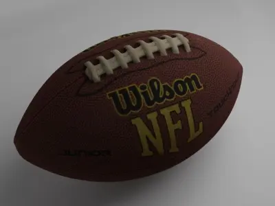 Wilson NFL Football 3D model
