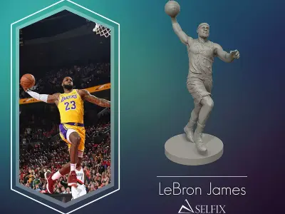 LeBron James 3D Dunk Model for 3D printing 3D print model