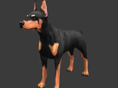 German Doberman Pinscher Low-poly 3D model