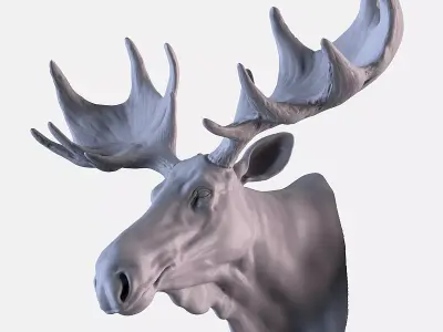 Moose Head 3D print model