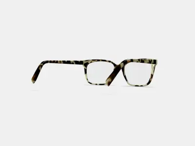 Hughes Eyeglasses in Marzipan Tortoise 3D model