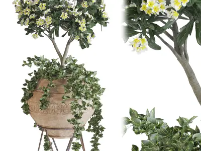 Indoor Plant Set 02 3D model