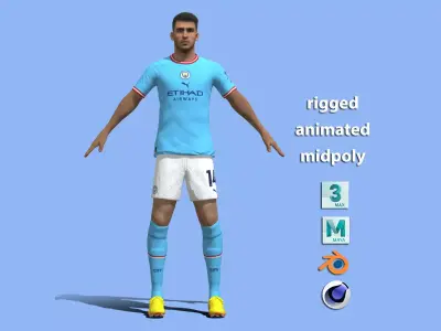T-P Rigged Laporte Manchester City 3D model