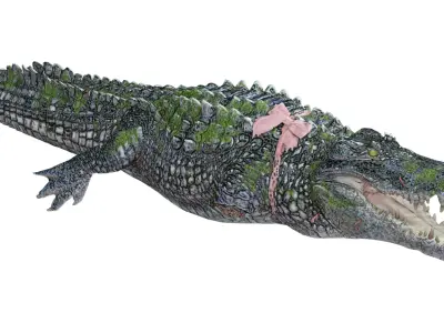 Animated Injured Crocodie Rigged Low-poly 3D model