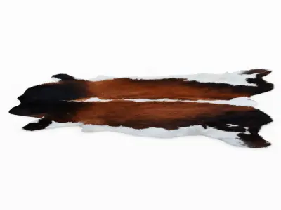 Cowhide Brown And White Rug 3D model
