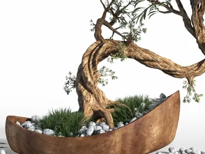  plant bonsai 03 3D model