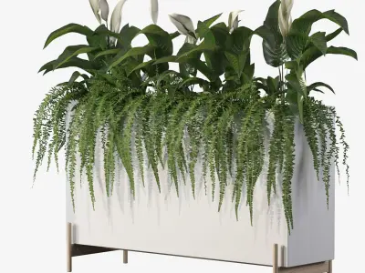office plants 3D model