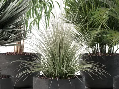 Plants collection 135 3D model