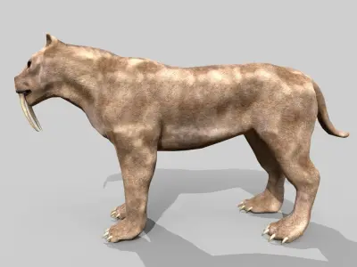 Sabertooth Low-poly 3D model