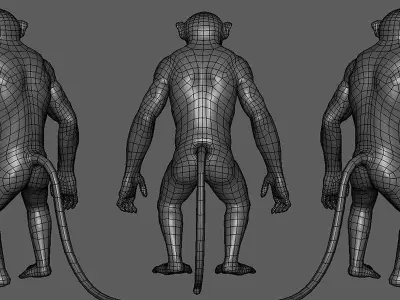 Monkey  3D model