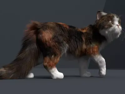Persian Cat Fur and Animated 3D model
