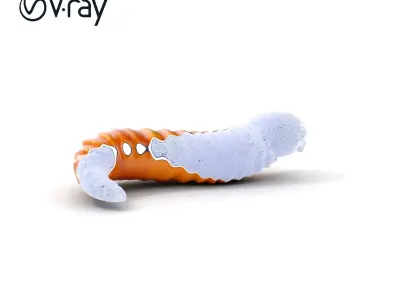 Realistic Worm Model Pack   Levels of Detail Low-poly 3D model