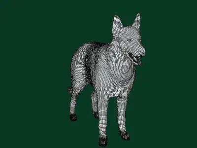 White Swiss Shepherd Dog Breed 3D model