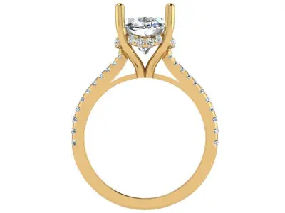 Oval cathedral solitaire with under halo 3D print model