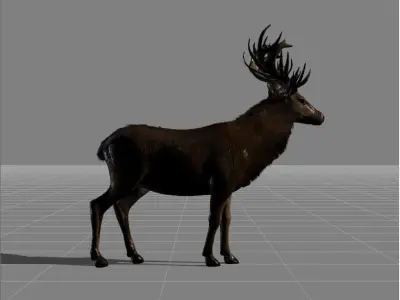 red deer v1 Low-poly 3D model