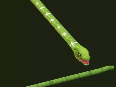 Green Snake Rig 3D model