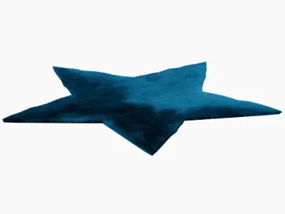 Rug Star 3D model