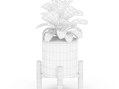 Ficus Lyrata in Ceramic Pot 3D model