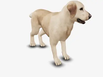 Dog Labrador Low-poly 3D model