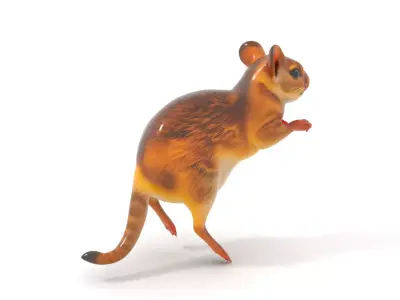 Bushy Tail Jerboa model pack Low-poly 3D model