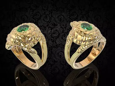 ring turtl 3D print model