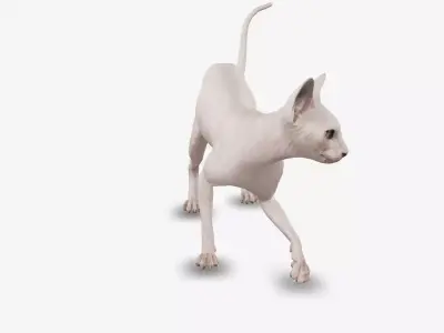 cat sphinx 3D model