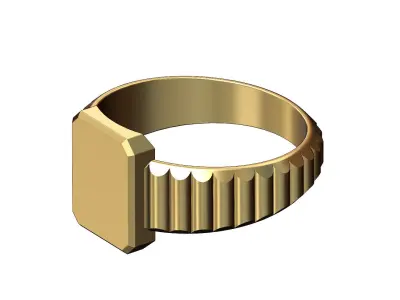 Watch link rectangular tag signet ring US sizes 6to11 3D print model