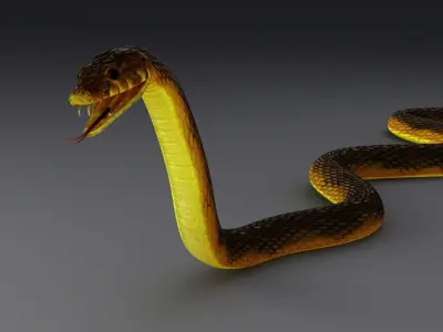 Snake Rig 3D model purchase