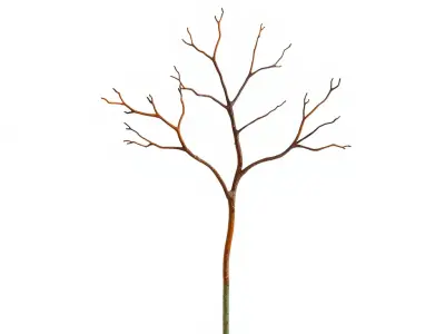 Artistic Bare Tree Sculpture Model Pack Low-poly 3D model