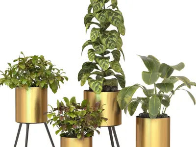 Metal Plant Set 05 3D model