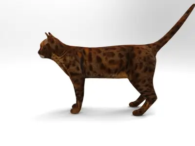 Cat game ready low poly model bengal Low-poly 3D model