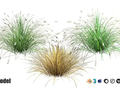Little Bunny Fountain Grass 3d collection Low-poly 3D model