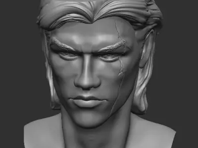 Head of brutal male with scar 3D print model