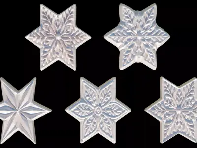 Snowflakes 3D print model